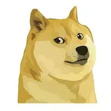 xdogemars's profile picture. 