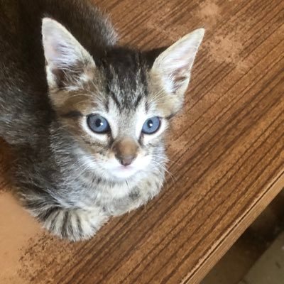 ErmitaoOlinda's profile picture. 