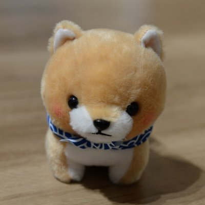 mameshibamarido's profile picture. 