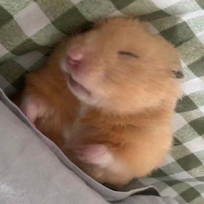 newkizidid's profile picture. #추유찬  #김지용