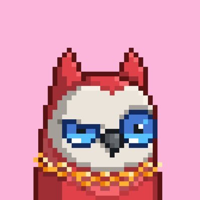 hotbitcool's profile picture. NFT paper hand. Crypto fresh bird.