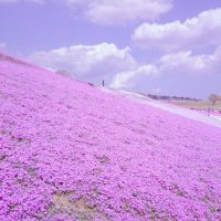 ぷ〜 (@ow74_nsx) 's Twitter Profile