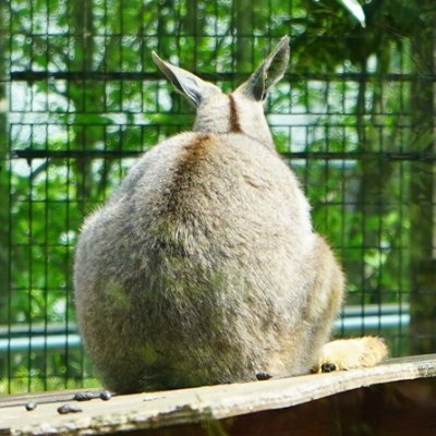 てぃあん🎗️さんのプロフィール画像