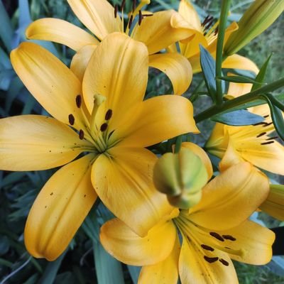 Stapajacypoziem's profile picture. Żaden z naszych przywódców nie jest karany za kłamstwo. Zamiast tego zwykli ludzie są karani za mówienie prawdy.