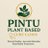 pintuplantbased's profile image