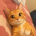 Aalcee (@aldas1405) Twitter profile photo Aalcee (@aldas1405) Twitter profile photo