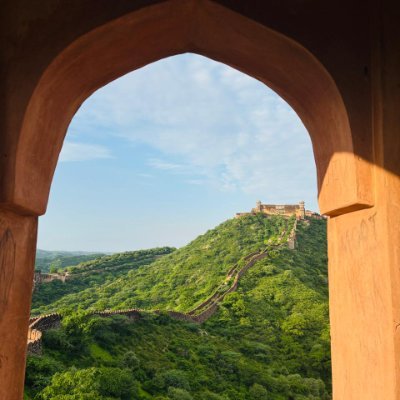 CrazyinNutshell's profile picture. Chill