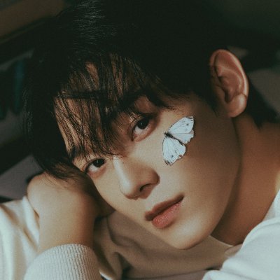 stan/personal/ani twt
8/9✨ 순딩이💛EXO || AHOF