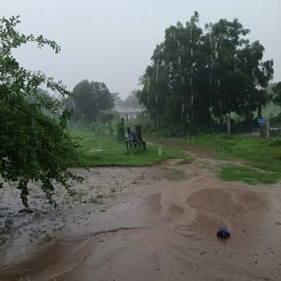 mdnath1993's profile picture. 