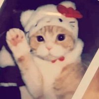 i6ras (@i6ras11) 's Twitter Profile