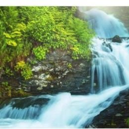 MdAsadu59998333's profile picture. Day and night 24 hours=1440minutes.Think 1 minute from now afterlife.Even if it is little it will be useful inshalla.
দৈনিক মাত্র ১মিনিট পরকালের কথা ভাবুন।