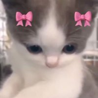 ねむ (@2_c58) 's Twitter Profile