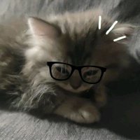(๑ SOS (@moastomato) 's Twitter Profile