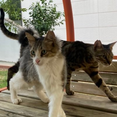 marimarimak's profile picture. 🛀🦡🪩