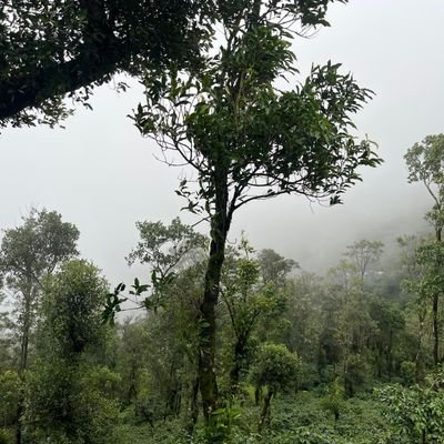 हमारे लिए राष्ट्र है प्रथम क्योंकि राष्ट्रवादी हैं हम! बाल्यकाल स्वयंसेवक ! हिंदी व हिंदुत्व का पुजारी, सनातनी हिन्दू !🕉️
नर सेवा नारायण सेवा !🚩