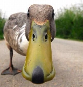 MGAUKY's profile picture. 