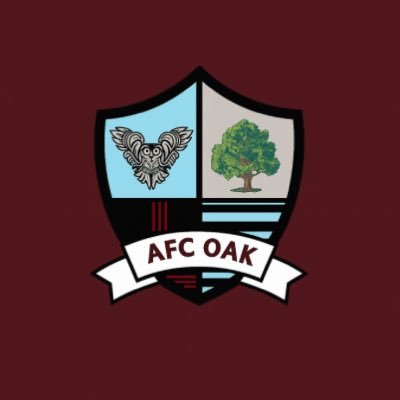 Local football side currently play in Aberdare League Premier.