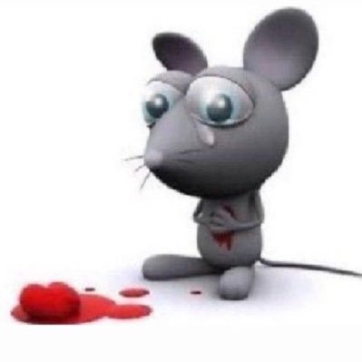 javiviuj's profile picture. camino como ratón y me explota el corazón cuando siento mucho (siempre) ((btw im never coming back down))