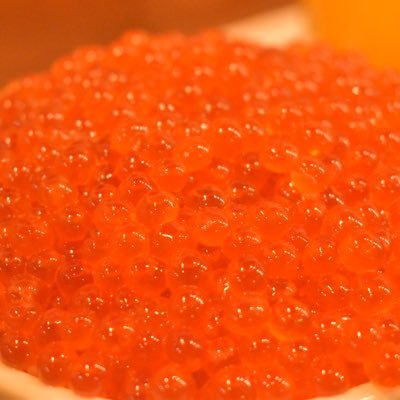 namonoon's profile picture. keio st