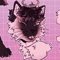 seraph (@seraphmeows) 's Twitter Profile Photo seraph (@seraphmeows) 's Twitter Profile Photo