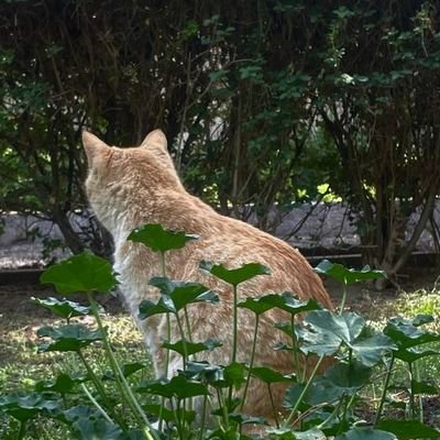 0Imtheproblem0's profile picture. (she/her)
✩
⋆ just a main character in a side-eye world ⋆