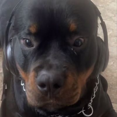 Annx_Romano's profile picture. sla.