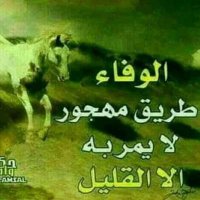 ali Algohri (@aalgohri48403) 's Twitter Profile