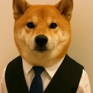 ComoAndCici's profile picture. 