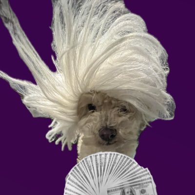 IsabelaG1507's profile picture. 