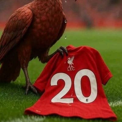 mnyampula149260's profile picture. Bitch we made it