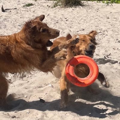 118bunkroom's profile picture. He/her ♊️ 28 priv for @retrievingbucks