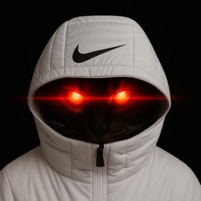 noiksol's profile picture. solana shitcoin master