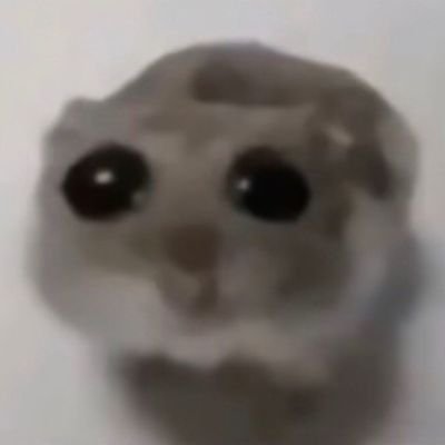 cUcBIkOaPd93431's profile picture. Chinese  
Hate school.
I hope I can eat all the delicious food in the world.