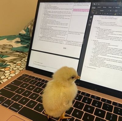 Half of my life is debugging, the other. half is explaining AI to my Family
👩🏻💻