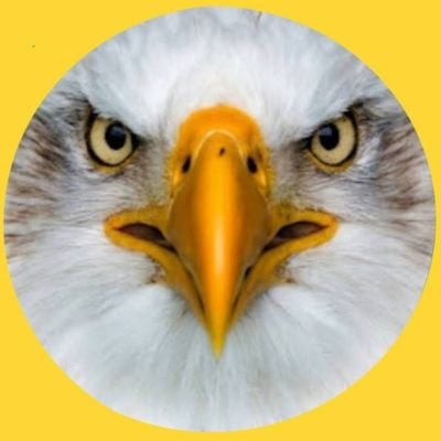 prubens68's profile picture. 