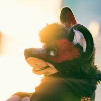 Felton (@feltonwuff) 's Twitter Profile Photo Felton (@feltonwuff) 's Twitter Profile Photo
