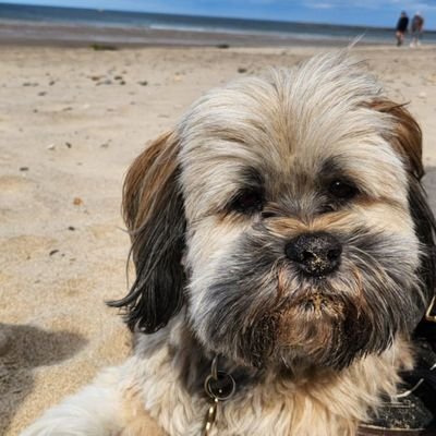 ❤️ My Daughter my Man Family my little man Archie🐶 The Rams🐑 ⚽️and care for Animals passionately ❤️
