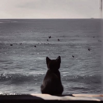 cloudedbrush's profile picture. free Palestine 🇵🇸