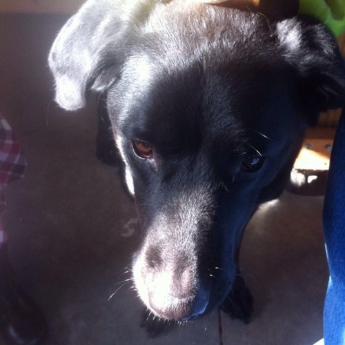 kyleniemann's profile picture. 