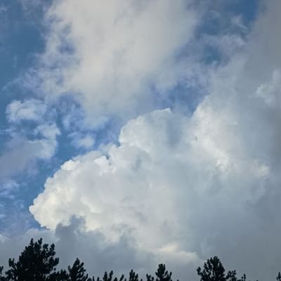 I'm a storm chaser and forecaster for a local group! My attitude is less than ethical too!
18!!
🌪️=4