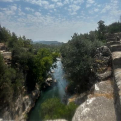 kbrsar380941's profile picture. 