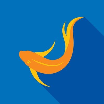 DopeFishhh's profile picture. I'm a dope fish guy!