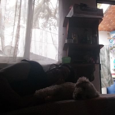 rallizz's profile picture. Tengo un flechazo por Quetzal Noah 📚