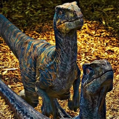 Scorm66's profile picture. Been a Jurassic Park fan ever since I can remember