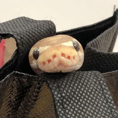 der_merve74582's profile picture. 