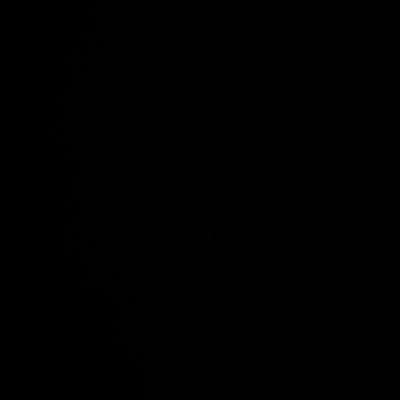 __pappichulo's profile picture. Jeremiah 29:11🙏🏽