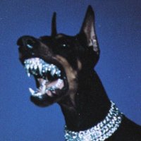 Wbrit0 (@wbritofc) 's Twitter Profile