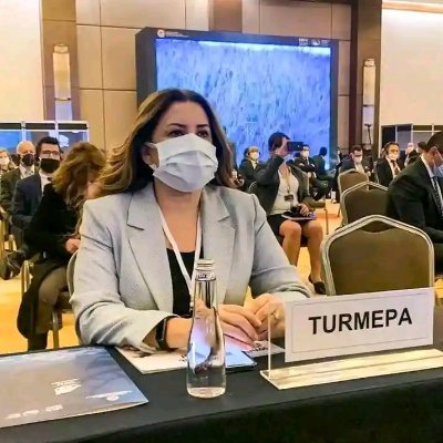 I graduated from Ankara University, Faculty of Political Science, Department of Economics-Finance.
I started my professional career at the Ankara Branch of th