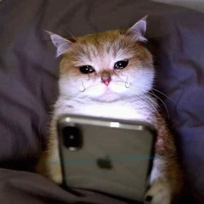 __topflau_'s profile picture. 