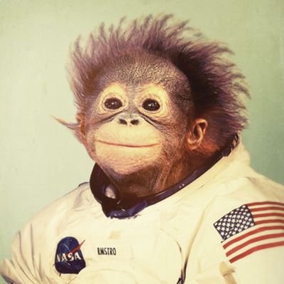 @ChimpOuterSpace